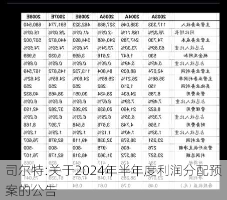 司尔特:关于2024年半年度利润分配预案的公告