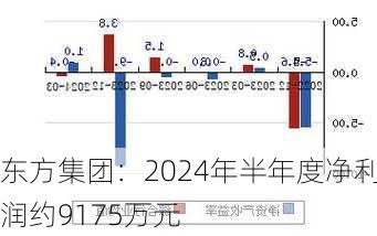 东方集团：2024年半年度净利润约9175万元