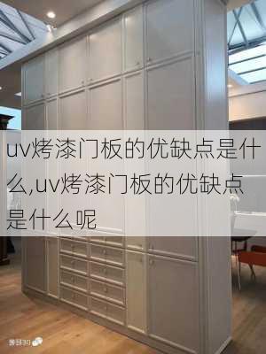 uv烤漆门板的优缺点是什么,uv烤漆门板的优缺点是什么呢