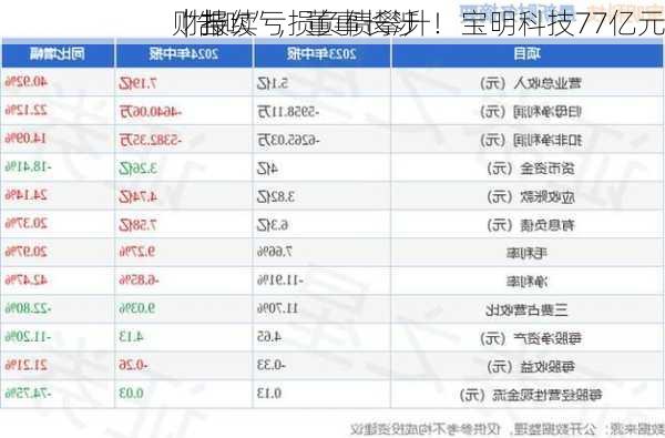 财报
｜持续亏损负债攀升！宝明科技77亿元
“告吹”，董事长涉