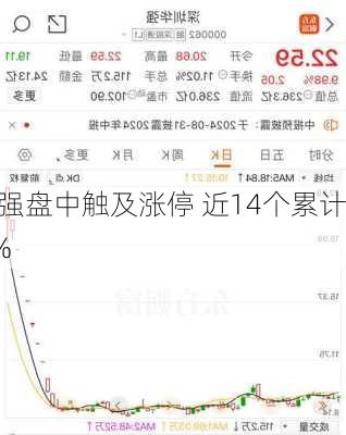 深圳华强盘中触及涨停 近14个累计
超200%