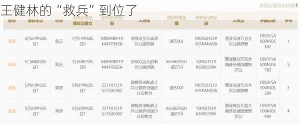 王健林的“救兵”到位了