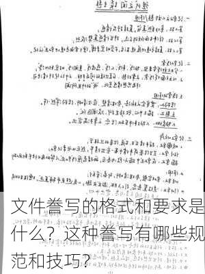 文件誊写的格式和要求是什么？这种誊写有哪些规范和技巧？