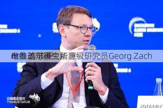 布鲁盖尔研究所高级研究员Georg Zach
nn：应该更
地推动可再生能源