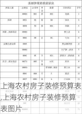 上海农村房子装修预算表,上海农村房子装修预算表图片