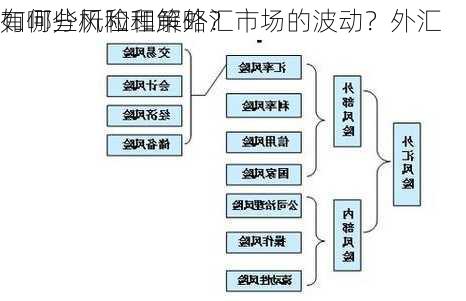 如何分析和理解外汇市场的波动？外汇
有哪些风险和策略？