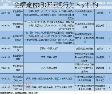 剑指支付行业违规行为 5家机构
金额逾3000万元