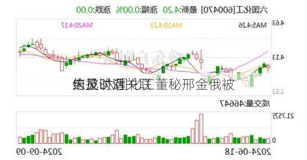 未及时对关联
信披 六国化工董秘邢金俄被
约见谈话