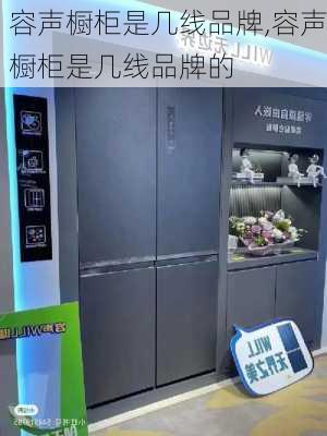 容声橱柜是几线品牌,容声橱柜是几线品牌的