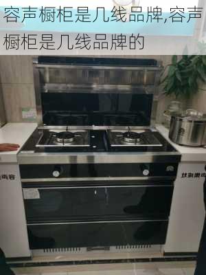 容声橱柜是几线品牌,容声橱柜是几线品牌的