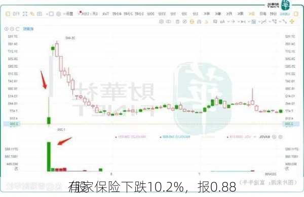 有家保险下跌10.2%，报0.88
/股