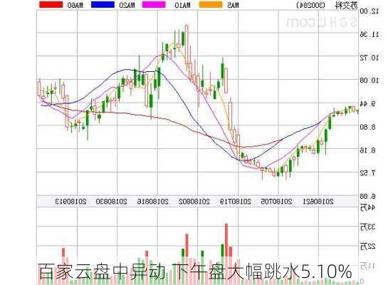 百家云盘中异动 下午盘大幅跳水5.10%