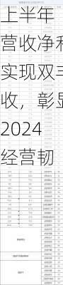 
上半年营收净利实现双丰收，彰显2024经营韧
