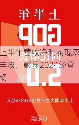 
上半年营收净利实现双丰收，彰显2024经营韧
