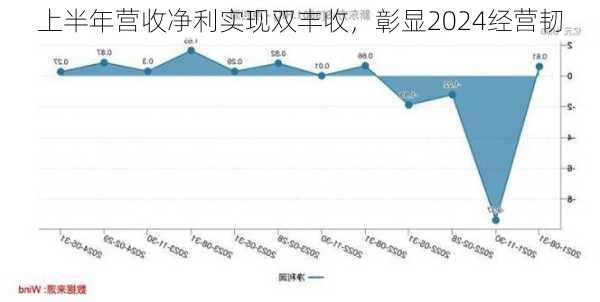 
上半年营收净利实现双丰收，彰显2024经营韧
