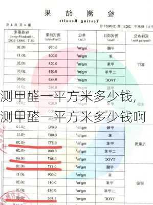 测甲醛一平方米多少钱,测甲醛一平方米多少钱啊