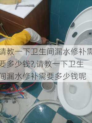 请教一下卫生间漏水修补需要多少钱?,请教一下卫生间漏水修补需要多少钱呢