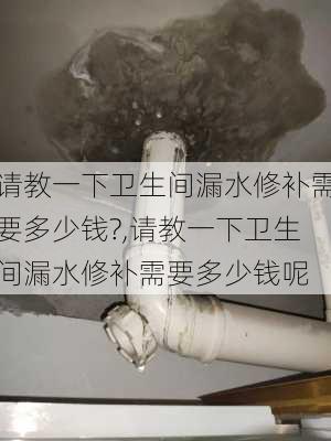 请教一下卫生间漏水修补需要多少钱?,请教一下卫生间漏水修补需要多少钱呢