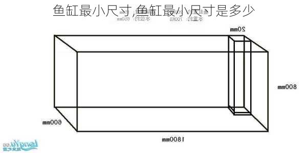 鱼缸最小尺寸,鱼缸最小尺寸是多少