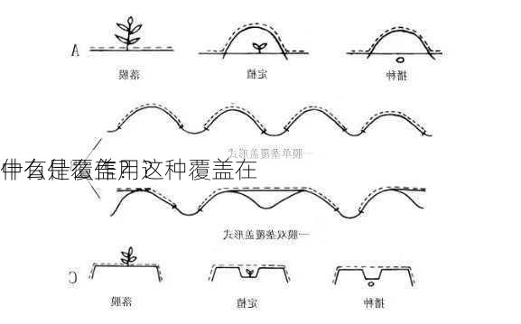 什么是覆盖？这种覆盖在
中有什么作用？