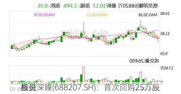 格灵深瞳(688207.SH)：首次回购25万股
股份