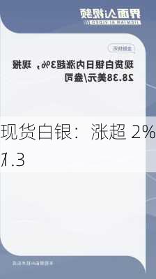 现货白银：涨超 2% 报 31.3 
/
