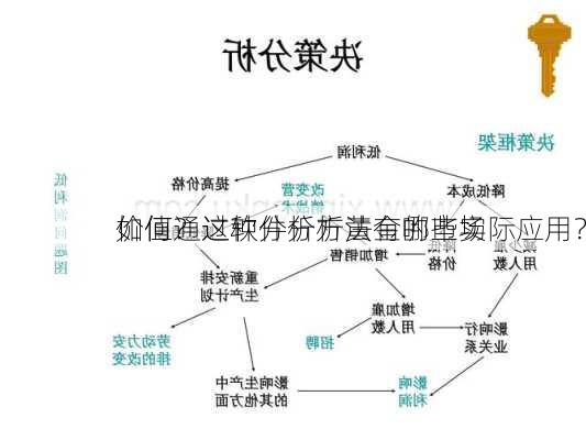 如何通过软件分析黄金的市场
价值？这种分析方法有哪些实际应用？