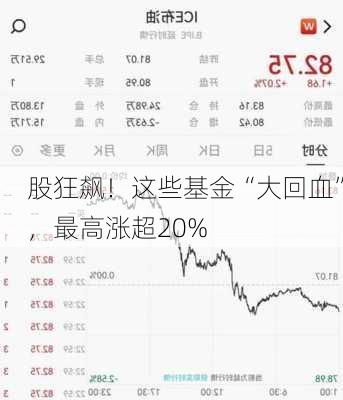 
股狂飙！这些基金“大回血”，最高涨超20%