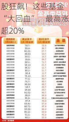 
股狂飙！这些基金“大回血”，最高涨超20%