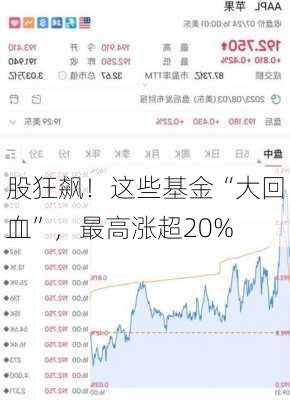 
股狂飙！这些基金“大回血”，最高涨超20%