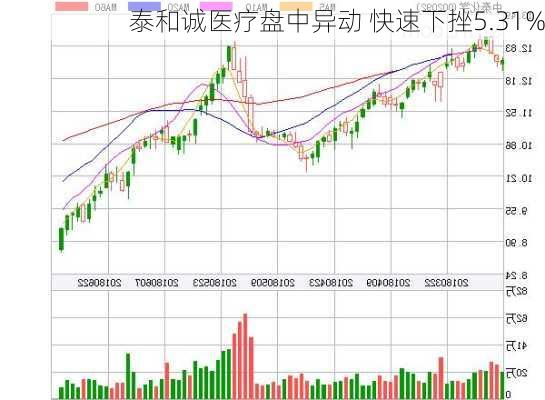 泰和诚医疗盘中异动 快速下挫5.31%