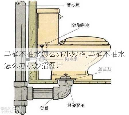 马桶不抽水怎么办小妙招,马桶不抽水怎么办小妙招图片