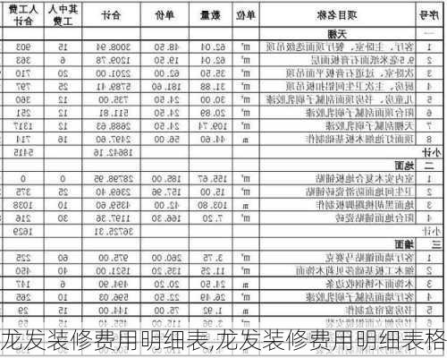 龙发装修费用明细表,龙发装修费用明细表格