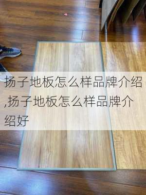 扬子地板怎么样品牌介绍,扬子地板怎么样品牌介绍好