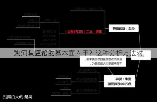 如何从豆粕的基本面入手？这种分析方法对
决策有何帮助？