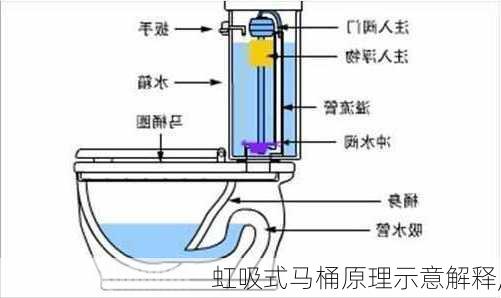 虹吸式马桶原理示意解释,