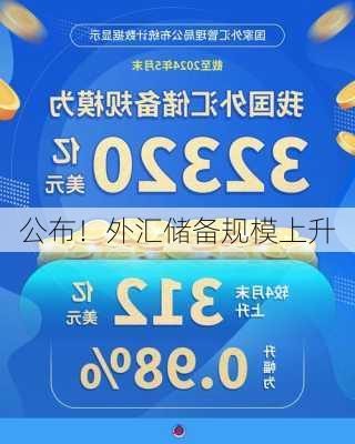 
公布！外汇储备规模上升