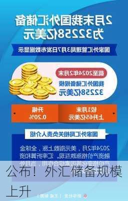 
公布！外汇储备规模上升