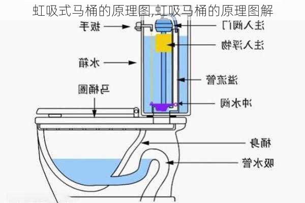 虹吸式马桶的原理图,虹吸马桶的原理图解