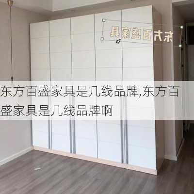 东方百盛家具是几线品牌,东方百盛家具是几线品牌啊