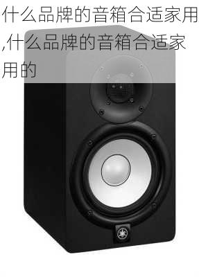 什么品牌的音箱合适家用,什么品牌的音箱合适家用的