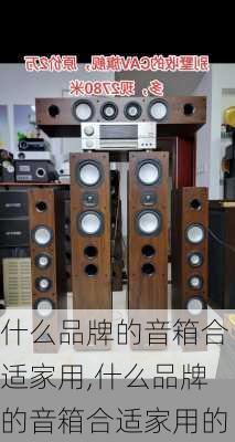 什么品牌的音箱合适家用,什么品牌的音箱合适家用的