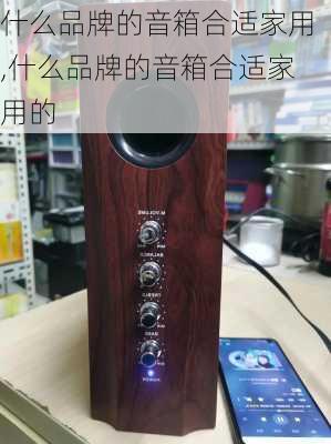 什么品牌的音箱合适家用,什么品牌的音箱合适家用的