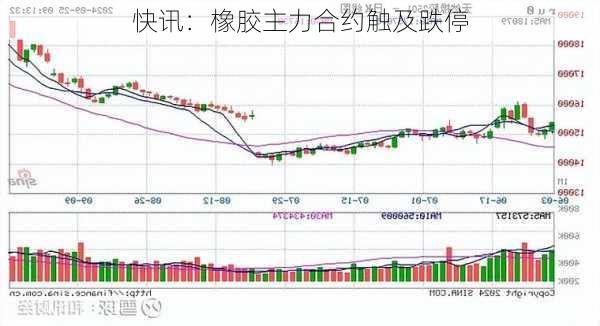 快讯：橡胶主力合约触及跌停