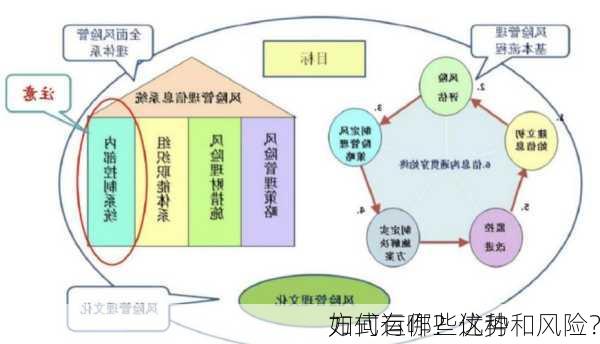 如何运作？这种
方式有哪些优势和风险？