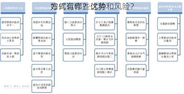 如何运作？这种
方式有哪些优势和风险？