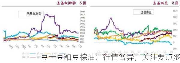 豆一豆粕豆棕油：行情各异，关注要点多