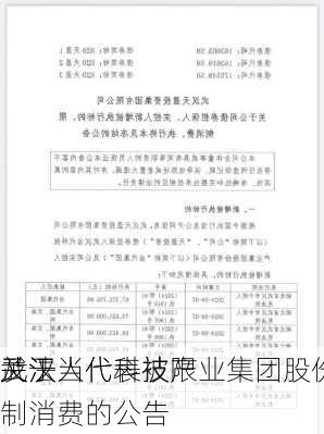 武汉当代科技产业集团股份有限
关于
及法人代表被限制消费的公告