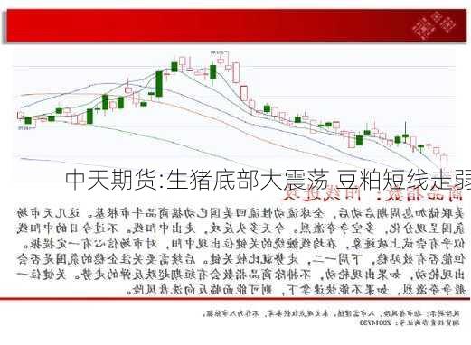 中天期货:生猪底部大震荡 豆粕短线走弱