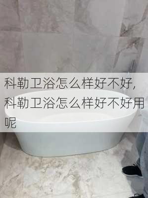 科勒卫浴怎么样好不好,科勒卫浴怎么样好不好用呢